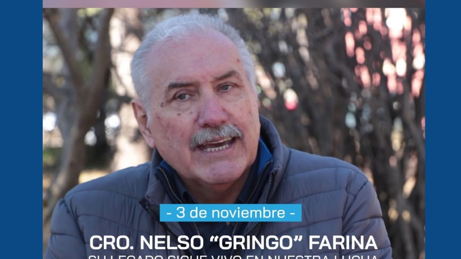 FARINA